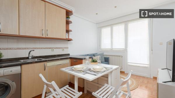 Chambre dans un appartement partagé à Donostia