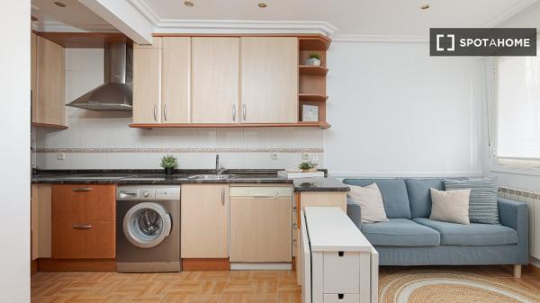 Chambre dans un appartement partagé à Donostia