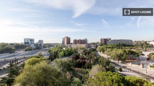 Piso de 1 dormitorio en alquiler en Chamartín, Madrid