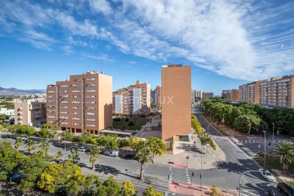 Piso en avenida Historiador Vicente Ramos