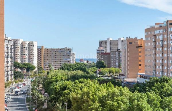 Piso en avenida Historiador Vicente Ramos