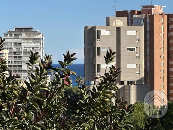 Piso en avenida Benidorm