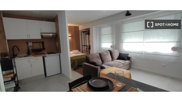 Apartamento entero de 1 dormitorio en València