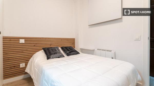 Acogedor apartamento en el corazón de Madrid