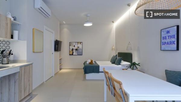 Studio apartment for rent in Valencia