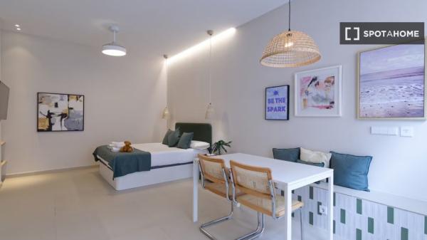 Studio apartment for rent in Valencia