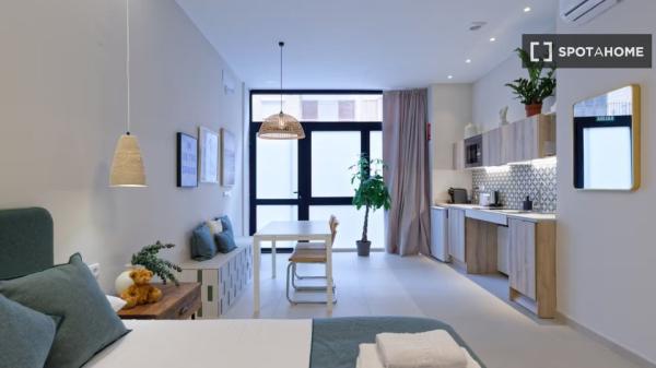 Studio apartment for rent in Valencia