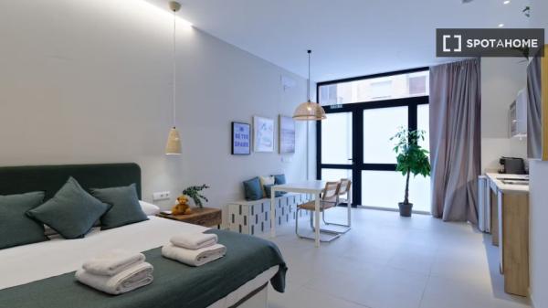 Studio apartment for rent in Valencia