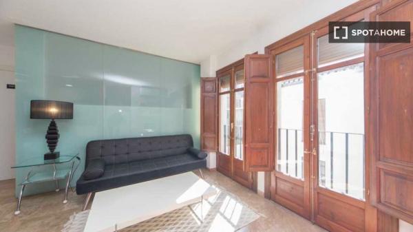 1-bedroom apartment for rent in Granada