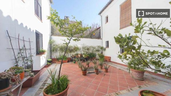 1-bedroom apartment for rent in Granada