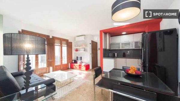 1-bedroom apartment for rent in Granada