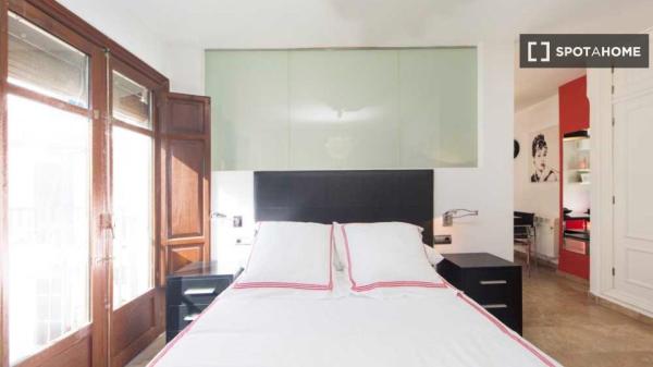 1-bedroom apartment for rent in Granada