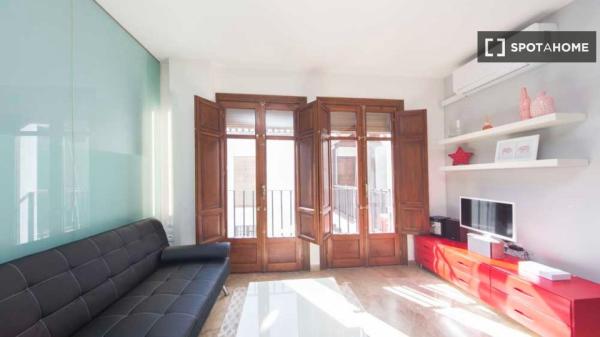 1-bedroom apartment for rent in Granada