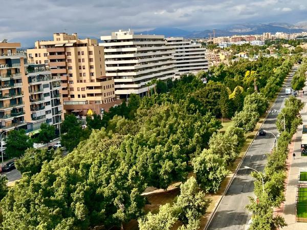 Ático en avenida Artista Remigio Soler López