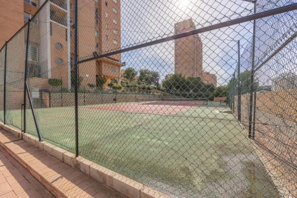 Estudio en Playa de Poniente