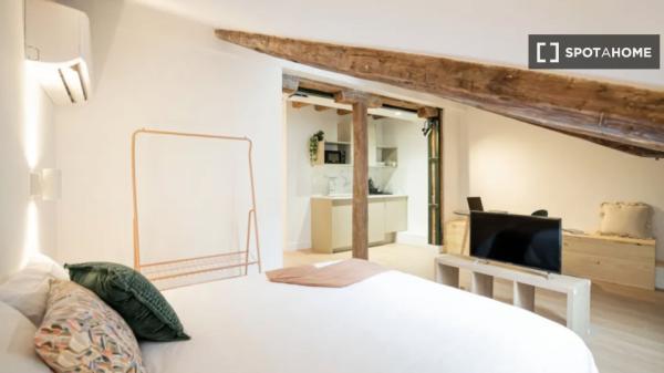 Apartamento estudio en bonito co-living en Madrid Centro