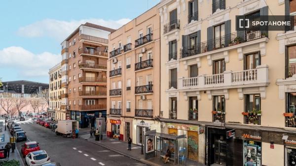 Piso entero de 2 dormitorios en madrid.