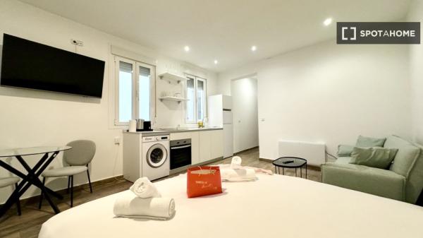 Estudio de una habitación en Madrid