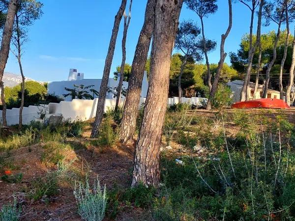 Terreno en calle Manzano, 61