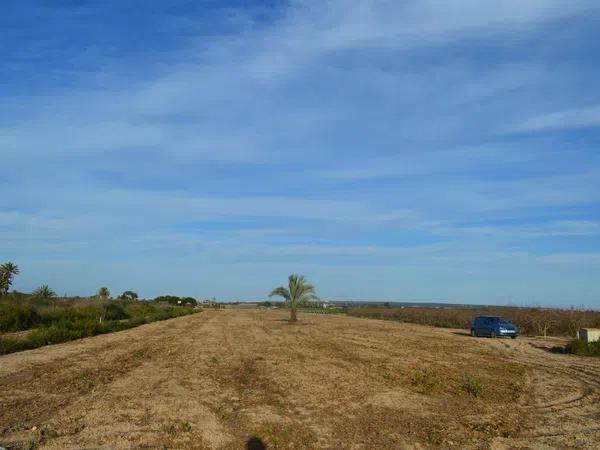 Terreno en camino de canals, 24