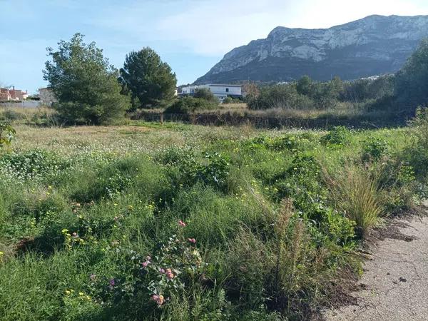 Terreno en camino Coll de Pous