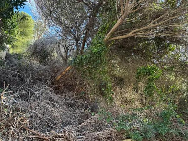 Terreno en Cumbre del Sol