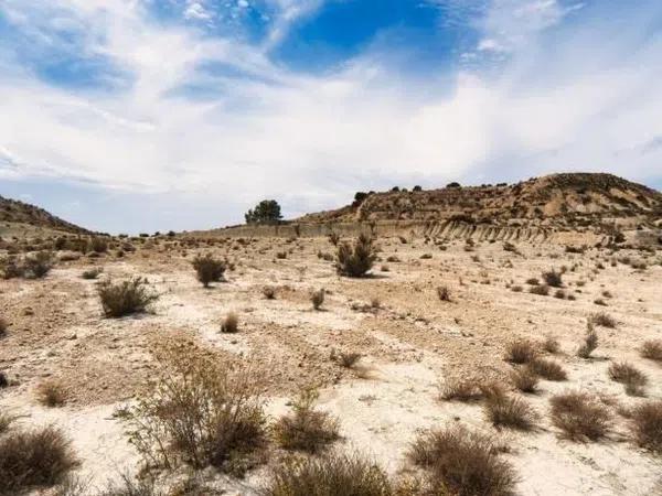 Terreno en La Fustera