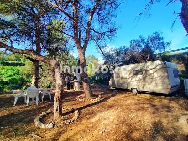 Terreno en Colonia Escandinavia-Cautivador