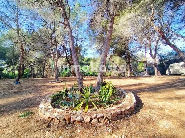 Terreno en Colonia Escandinavia-Cautivador