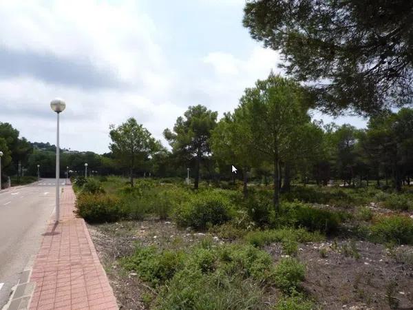 Terreno en Centro Ciudad