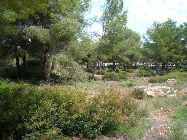 Terreno en Centro Ciudad