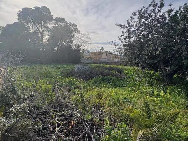 Terreno en La Xara - La Sella - Jesús Pobre