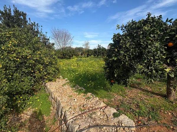 Terreno en La Xara - La Sella - Jesús Pobre