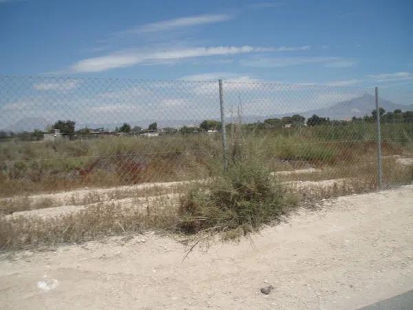 Terreno en Bellavista - Capiscol - Frank Espinós