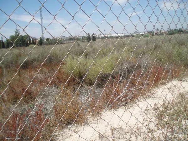 Terreno en Bellavista - Capiscol - Frank Espinós