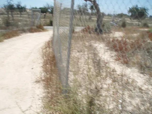 Terreno en Bellavista - Capiscol - Frank Espinós