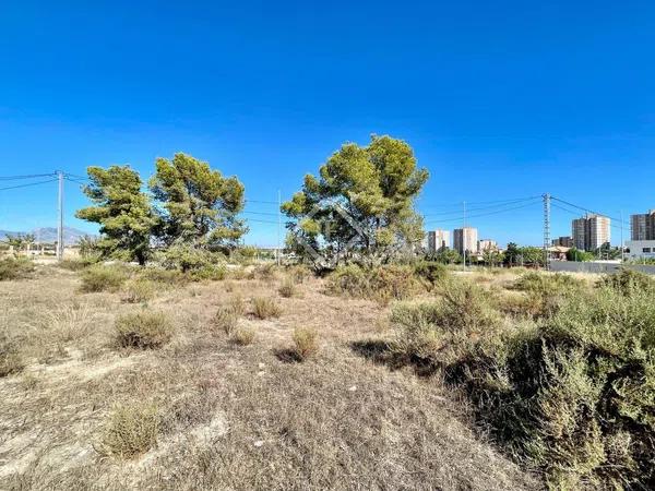 Terreno en calle de la Pitera