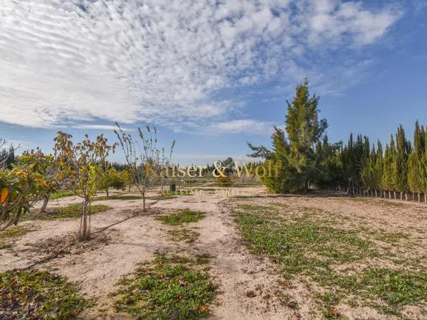 Terreno en Partida Algoros