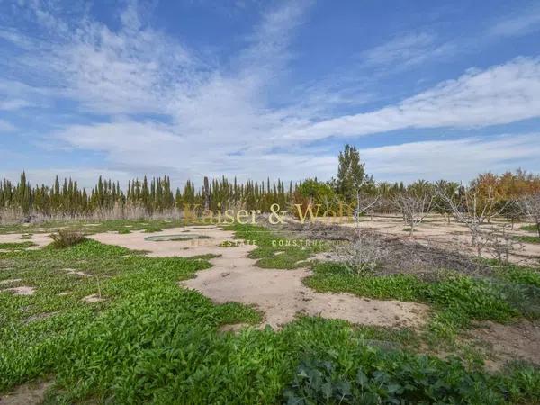 Terreno en Partida Algoros