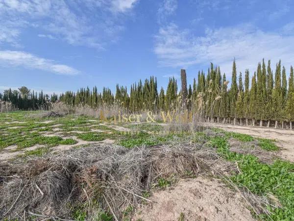 Terreno en Partida Algoros