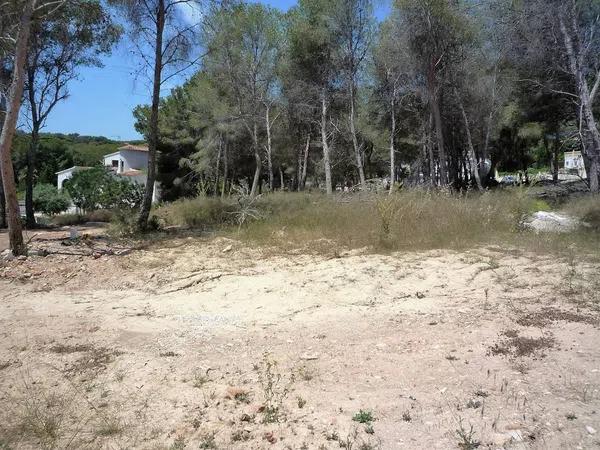 Terreno en Pinar de Advocat-Cometa