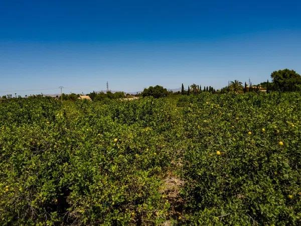 Terreno en Las Bayas-Asprillas