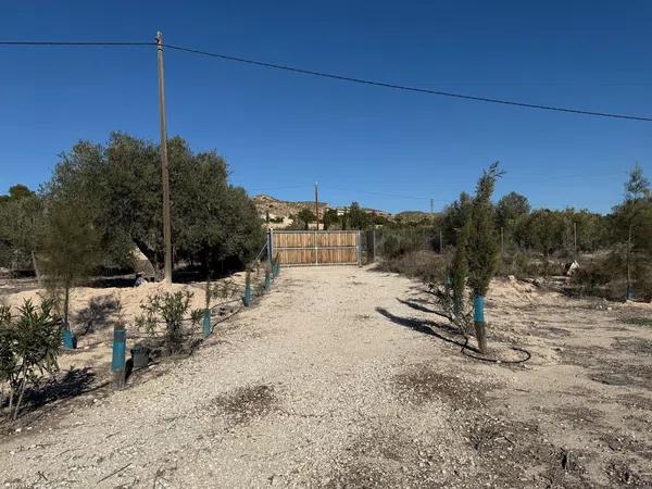 Terreno en camino Viejo de Aspe, km 3