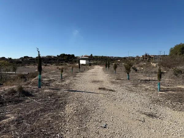 Terreno en camino Viejo de Aspe, km 3