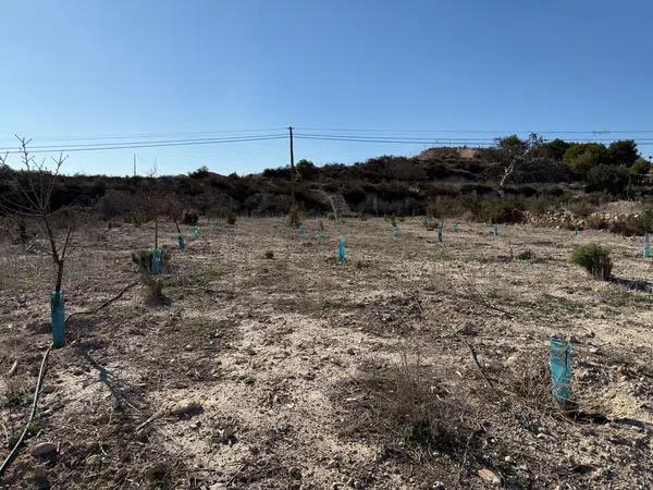 Terreno en camino Viejo de Aspe, km 3