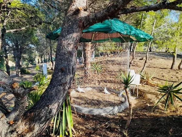 Terreno en Altea Pueblo