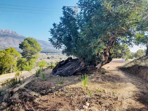 Terreno en Altea Pueblo