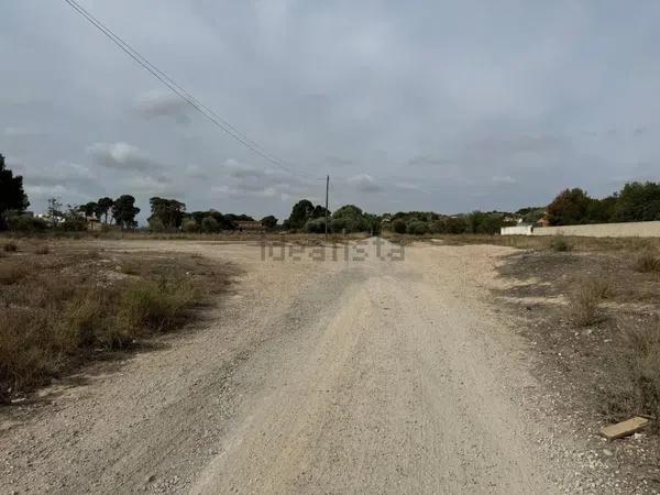 Terreno en La Huerta