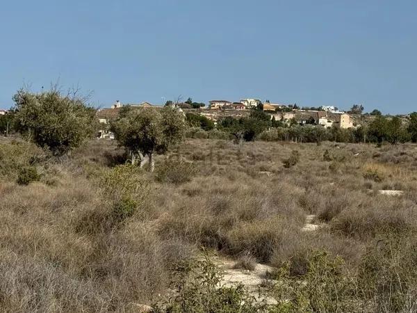 Terreno en La Huerta