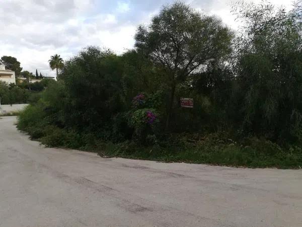 Terreno en calle la Morena